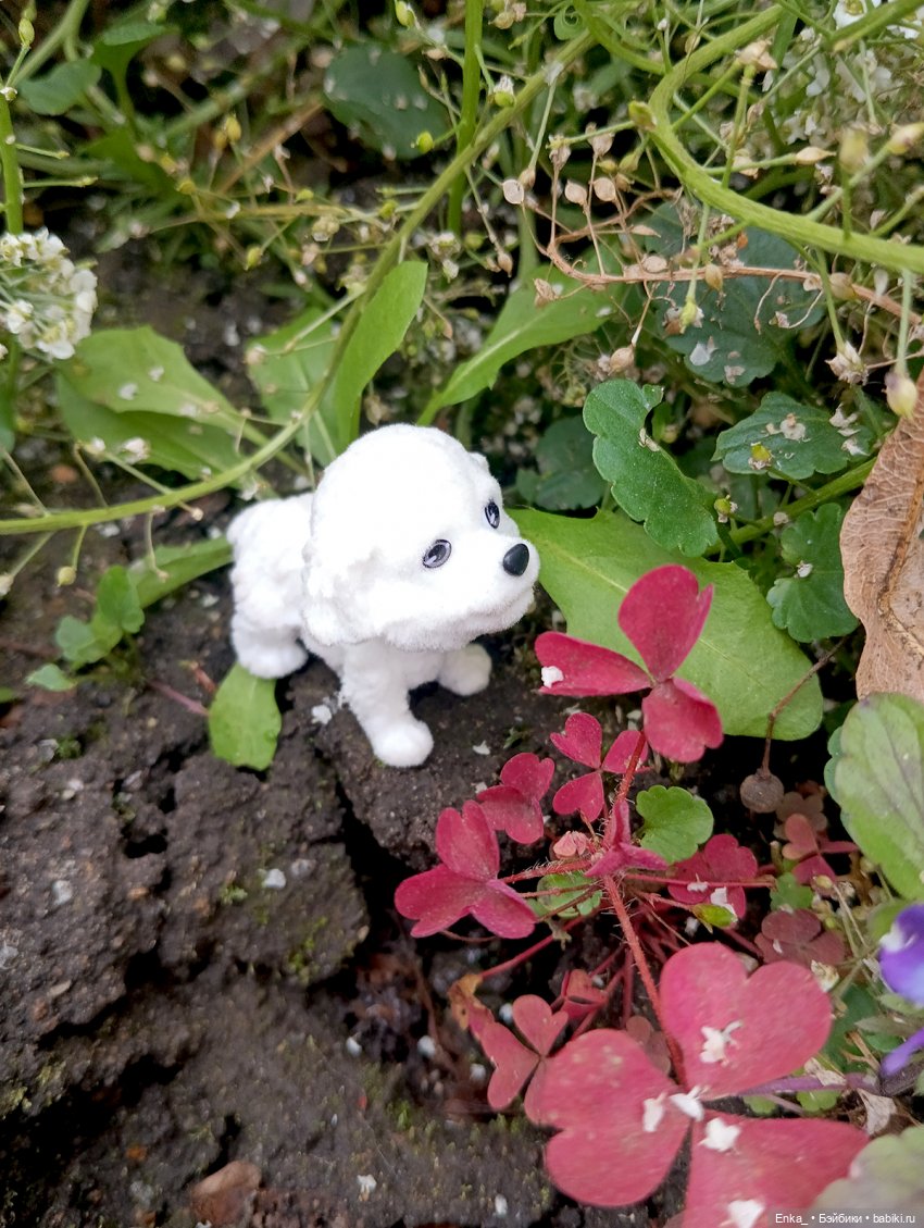 Вероника Kenzie: неожиданное сходство с кем (фото 5)