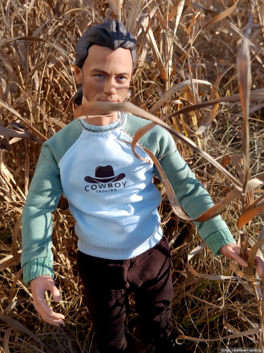 Знакомимся с Анри — Коллекционные экшн (фото 7)