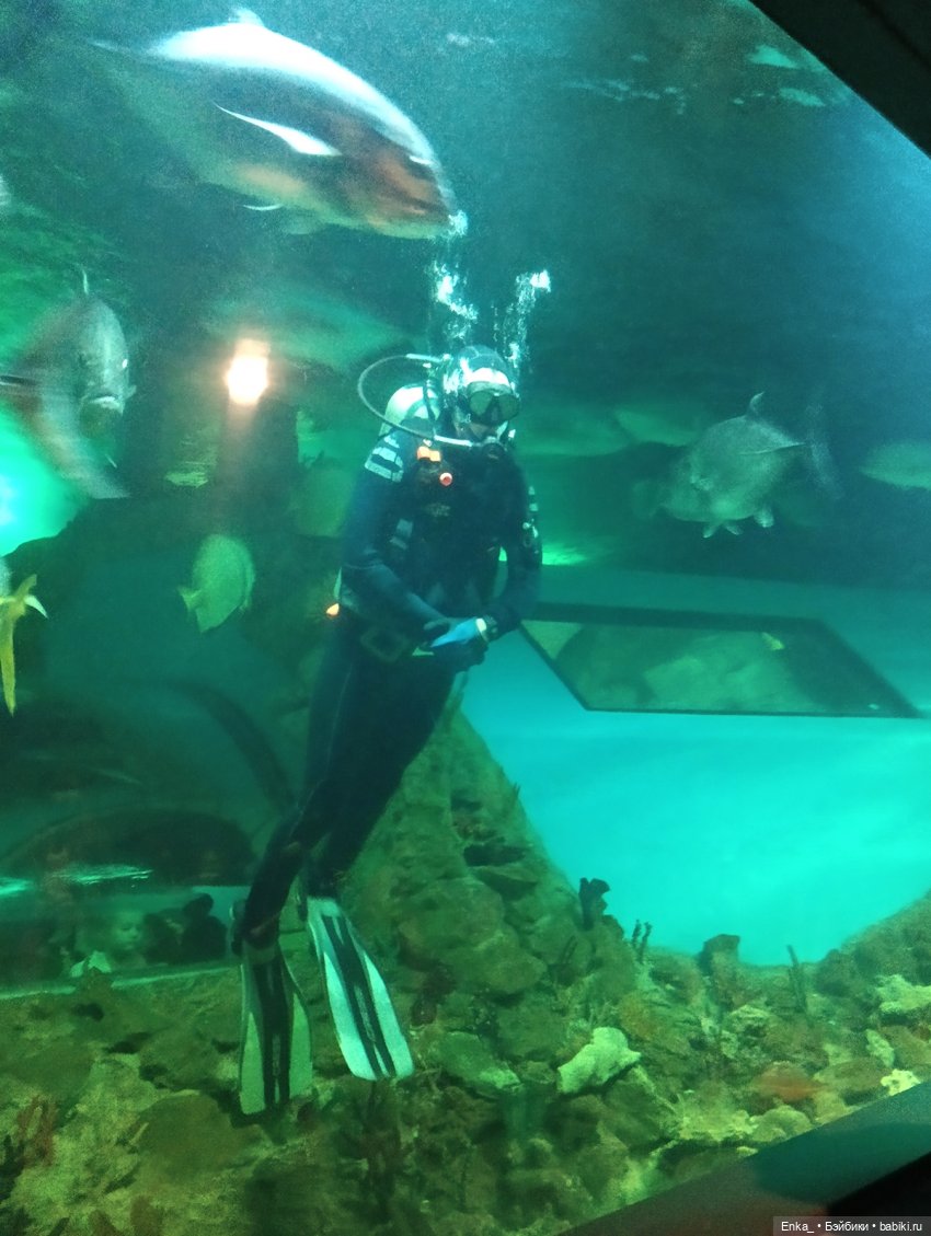 Что увидела Сонода в "Океанариуме" 🦈
