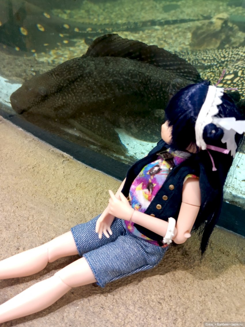 Что увидела Сонода в "Океанариуме" 🦈