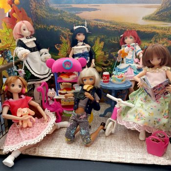 Моя коллекция кукол Azone на выставке «Мир кукол»