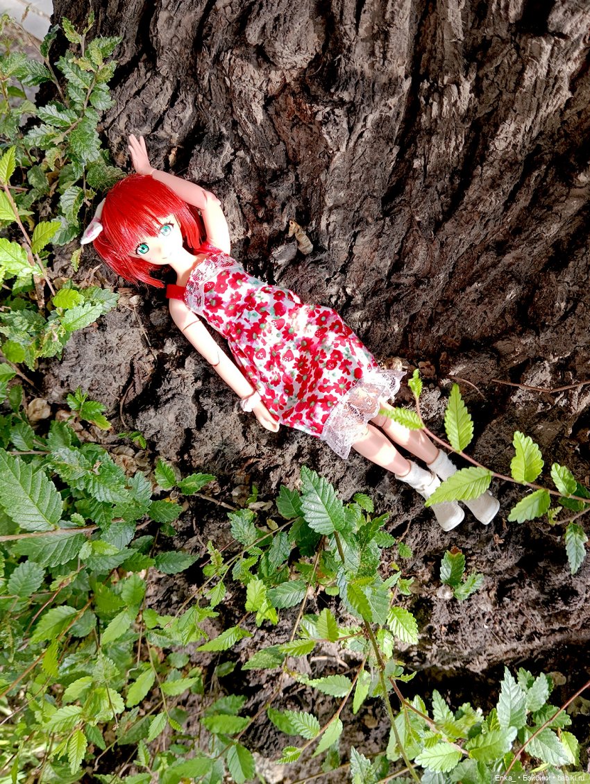 Летний образ для Ичиго — Куклы Azone (Азон) и тела Pure Neemo: фото