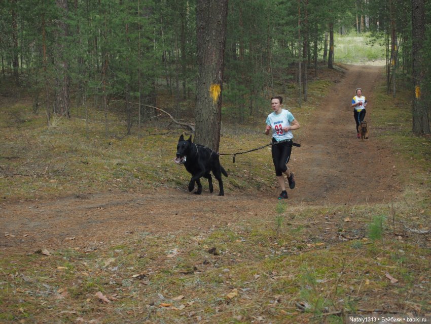 J-Doll'ка и Драйфест — Куклы J