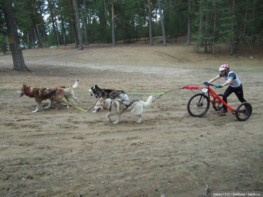 J-Doll'ка и Драйфест — Куклы J