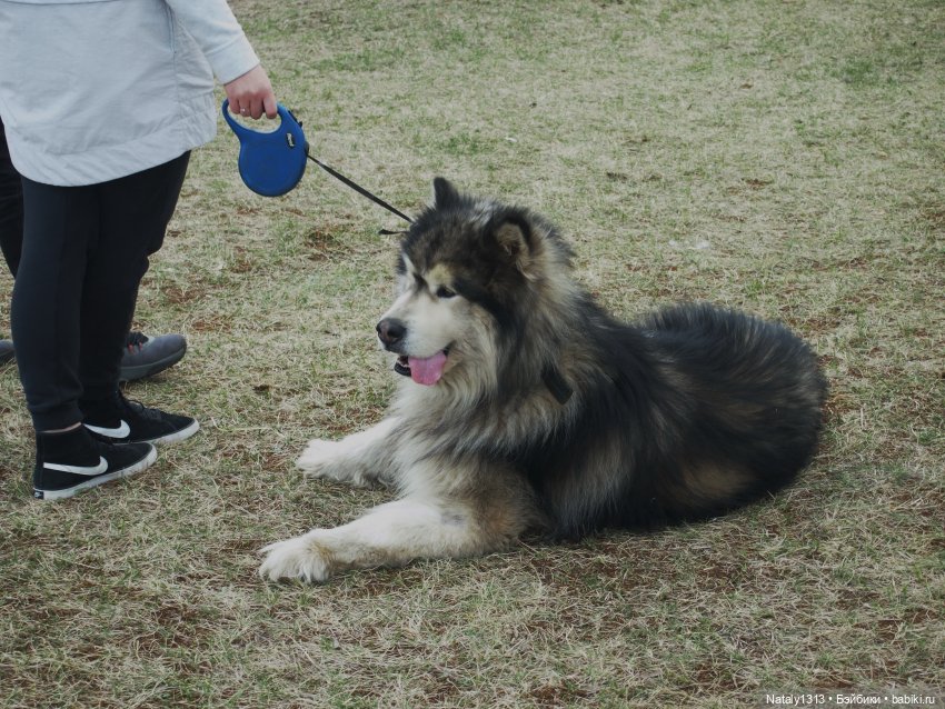 J-Doll'ка и Драйфест — Куклы J