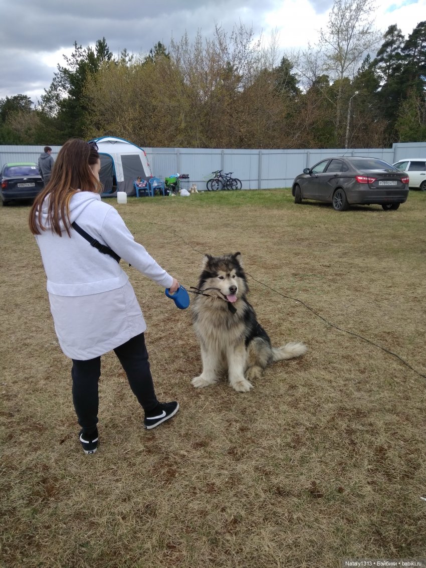 J-Doll'ка и Драйфест — Куклы J