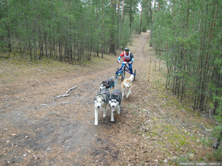 J-Doll'ка и Драйфест — Куклы J