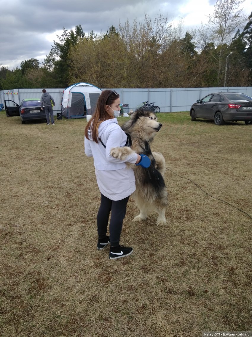 J-Doll'ка и Драйфест — Куклы J