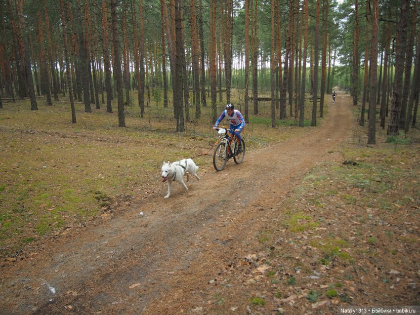 J-Doll'ка и Драйфест — Куклы J