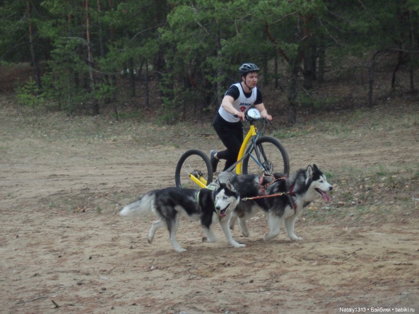 J-Doll'ка и Драйфест — Куклы J