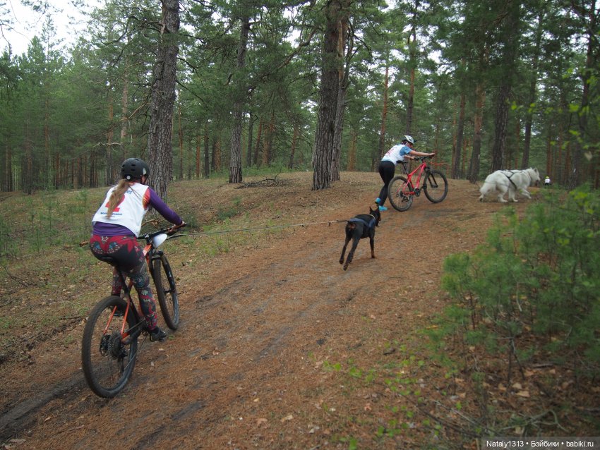 J-Doll'ка и Драйфест — Куклы J