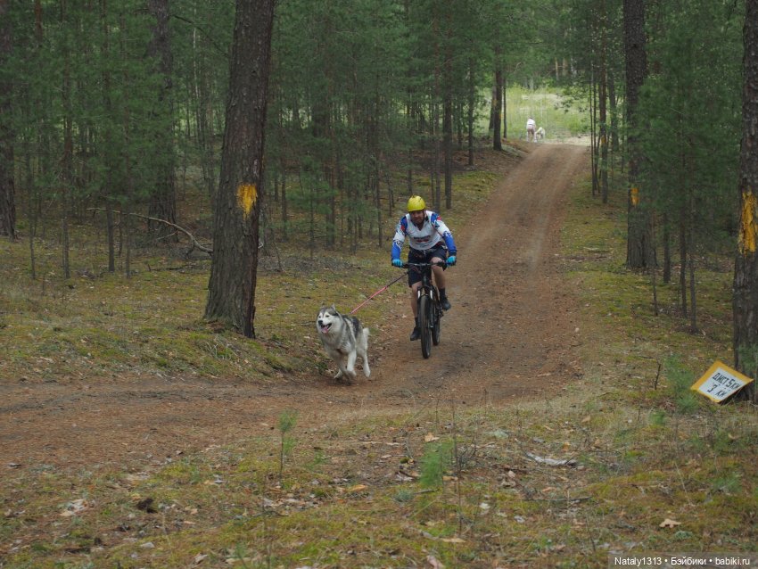 J-Doll'ка и Драйфест — Куклы J