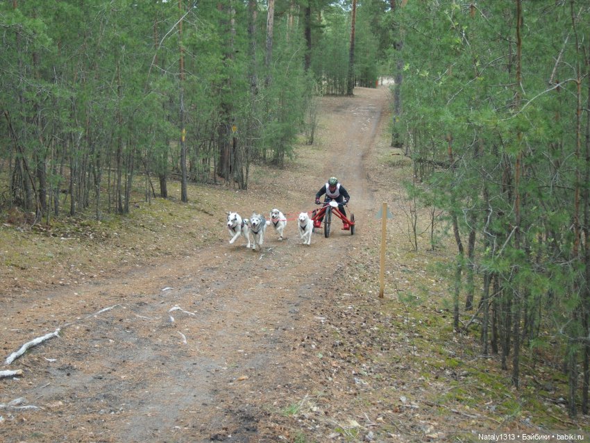 J-Doll'ка и Драйфест — Куклы J