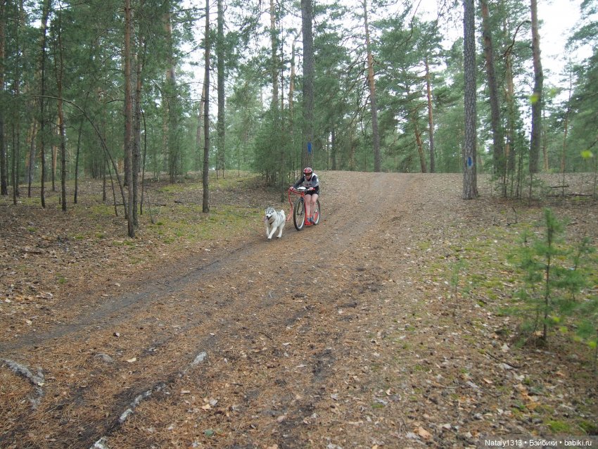 J-Doll'ка и Драйфест — Куклы J (фото 9)