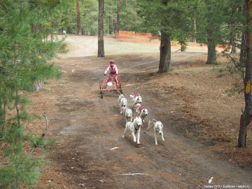 J-Doll'ка и Драйфест — Куклы J