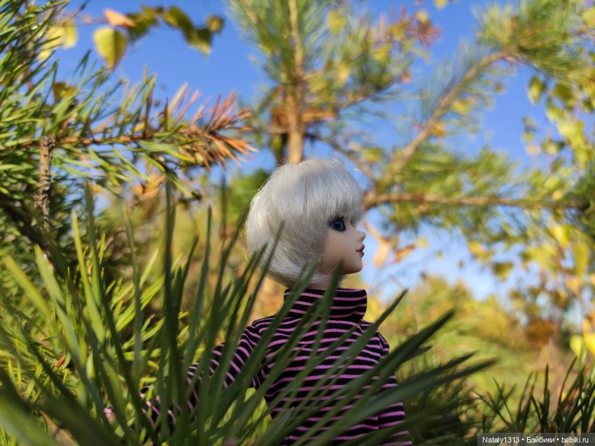 Джейка Реформа — Куклы J