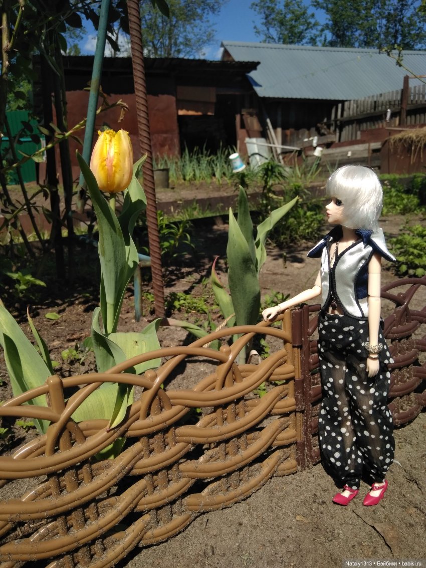 Джейка Реформа — Куклы J