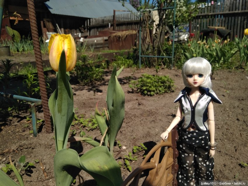 Джейка Реформа — Куклы J (фото 2)