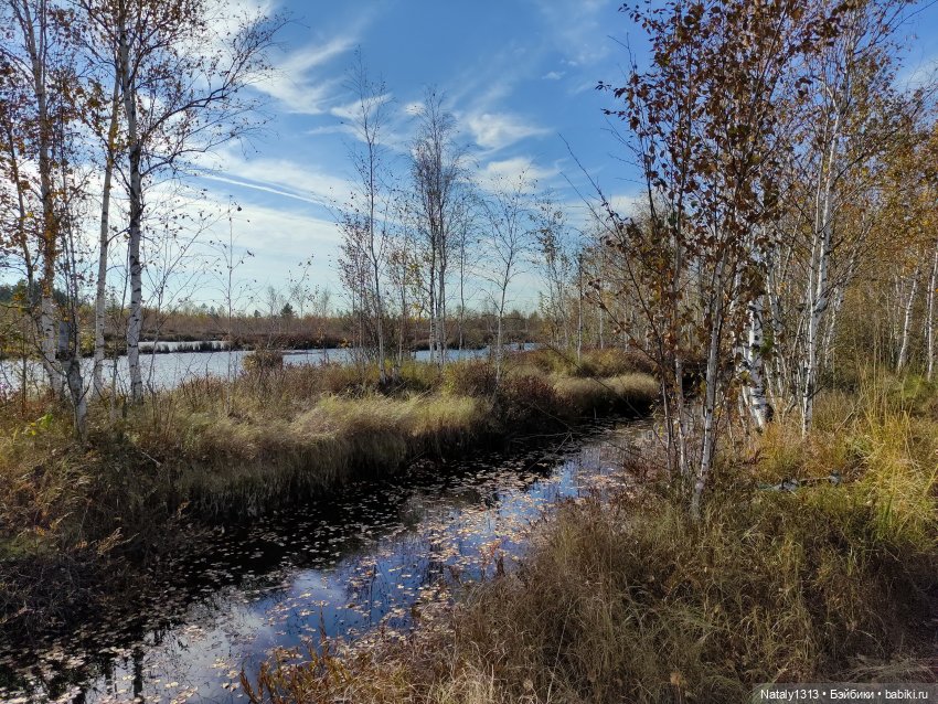 Джейка Реформа — Куклы J