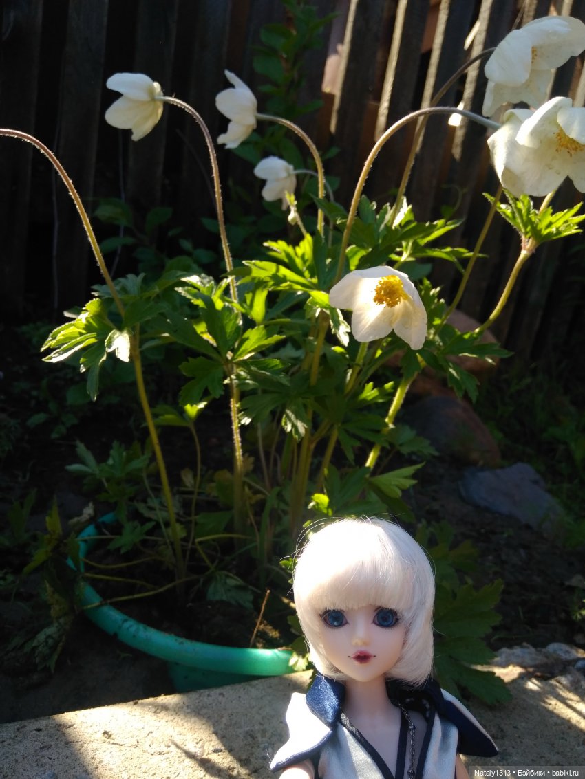 Джейка Реформа — Куклы J (фото 6)