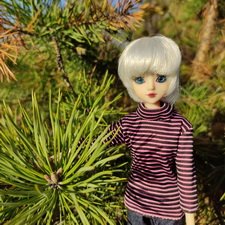 Джейка Реформа