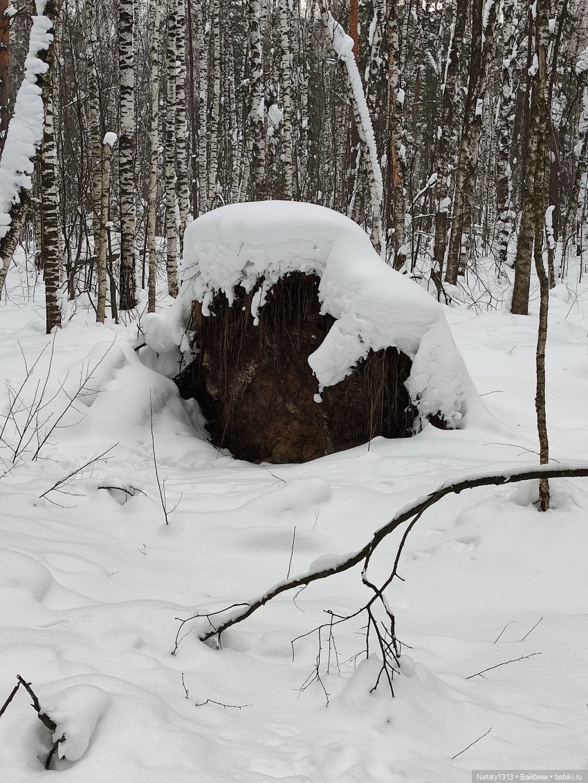 J-Doll и всё ещё зима — Куклы J (фото 5)