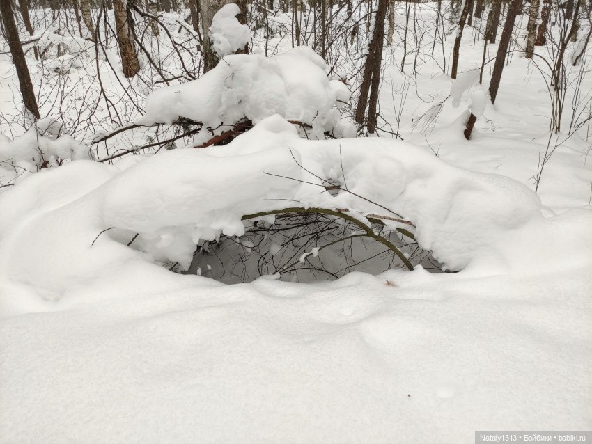 J-Doll и всё ещё зима — Куклы J