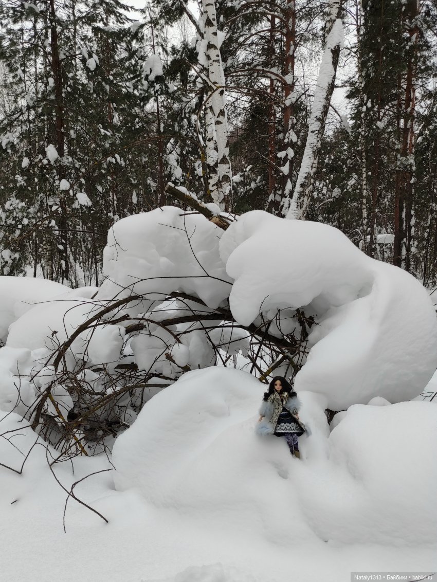 J-Doll и всё ещё зима — Куклы J