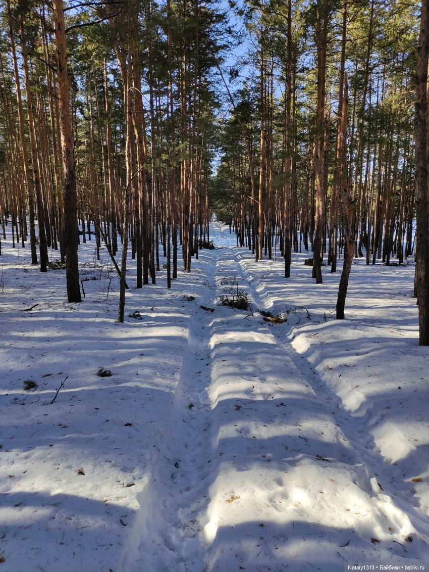 J-Doll и почти весна — Куклы J