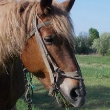 Завидушки взяли