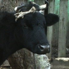 Жизнь... она извилистая