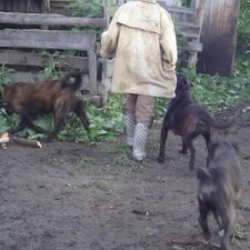 Когда кушать хочется