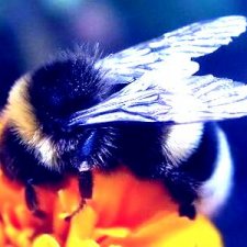 Не шевелись