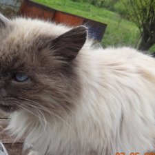 А мы его похоронили