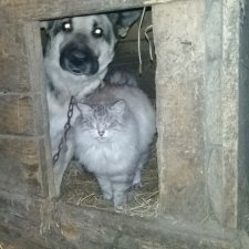 Когда не тесно, или две подружки в одной будке