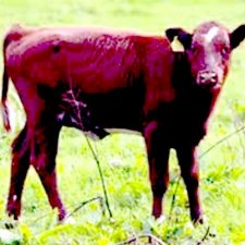 Опоздала на раздачу мозгов