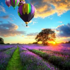 Почему бы и нет?