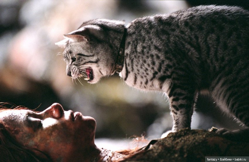 Гибридная куколка на основе рестлерши