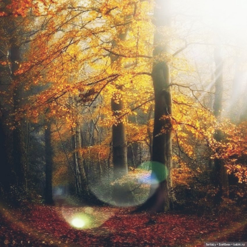 Осенние хлопоты ведьмочек