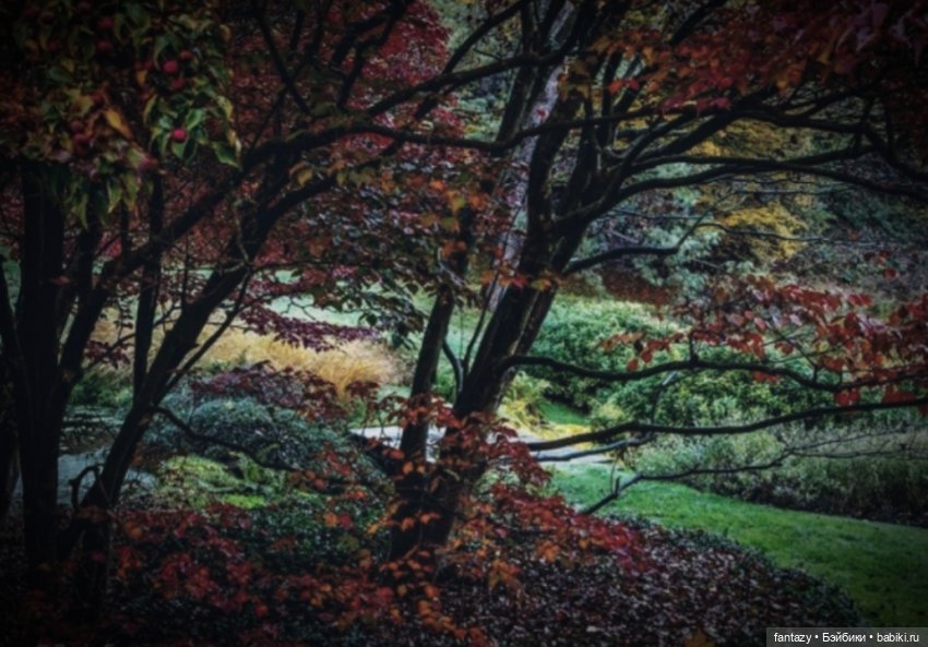 Осенние хлопоты ведьмочек