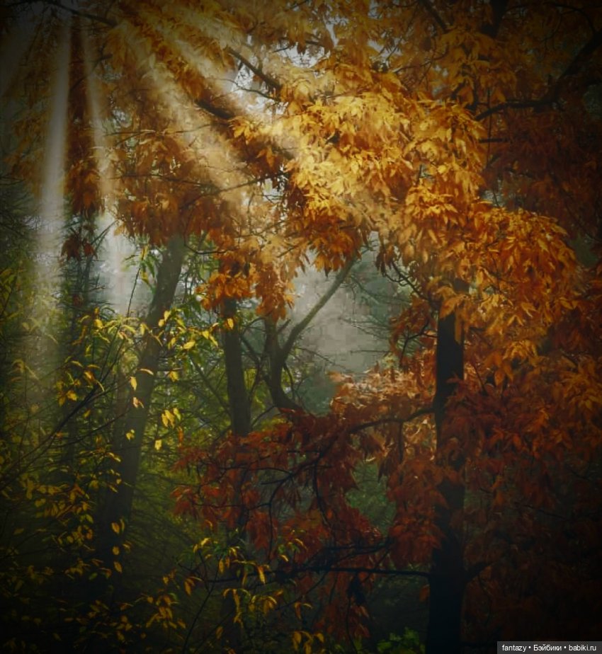 Осенние хлопоты ведьмочек