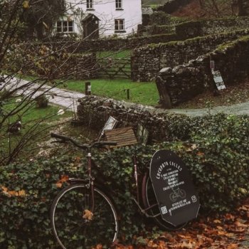 Джейн и Фанни.