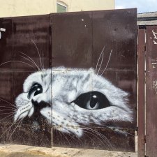 Прогулка без куклы