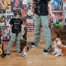 Вельветовые брюки для сицилийских псов