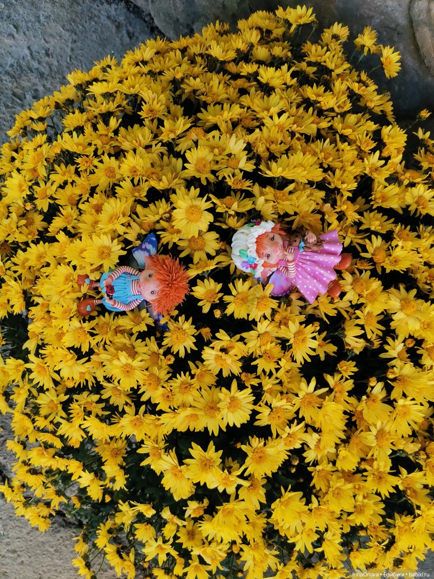 Тереза и Фредо. Ожившая сказка