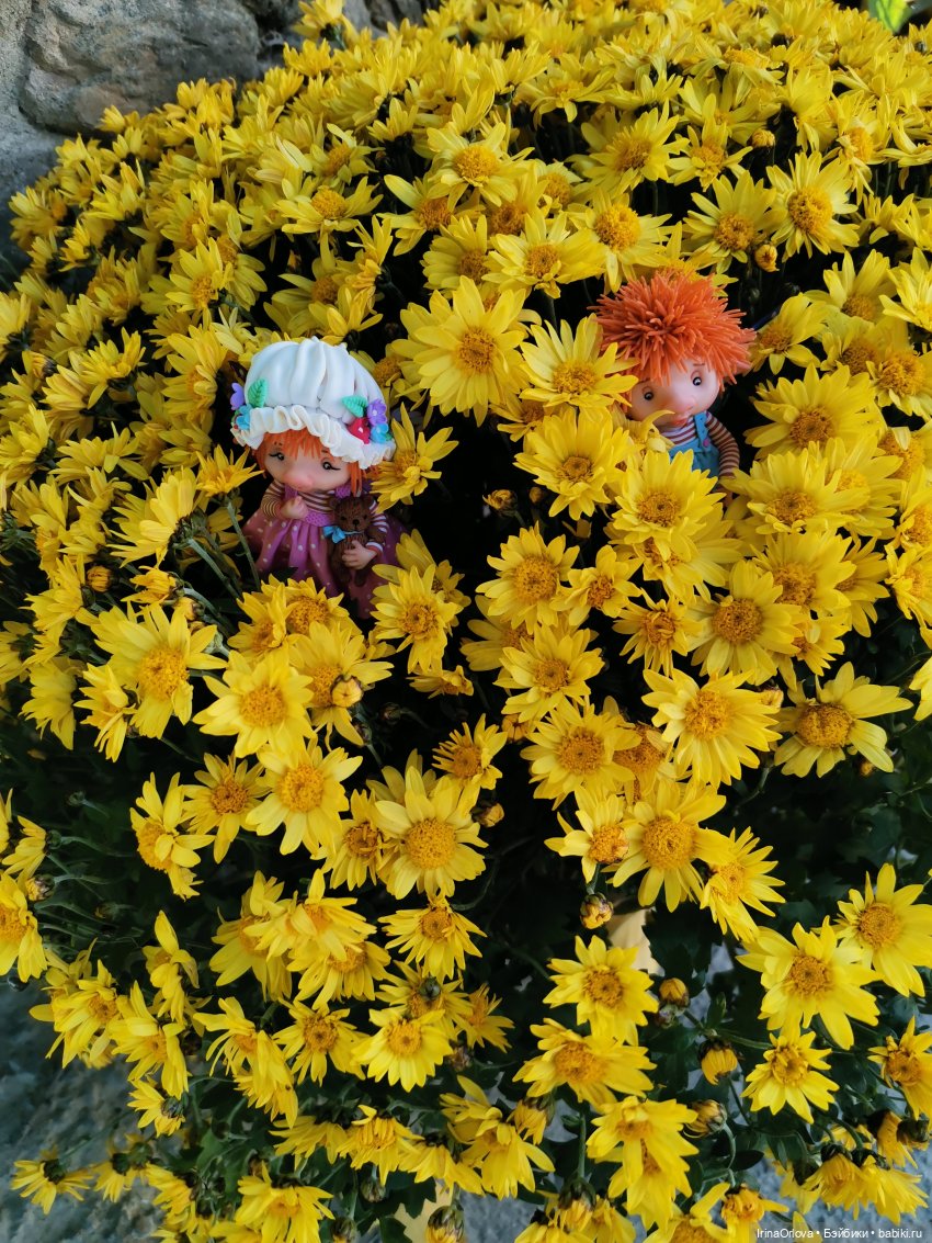 Тереза и Фредо. Ожившая сказка