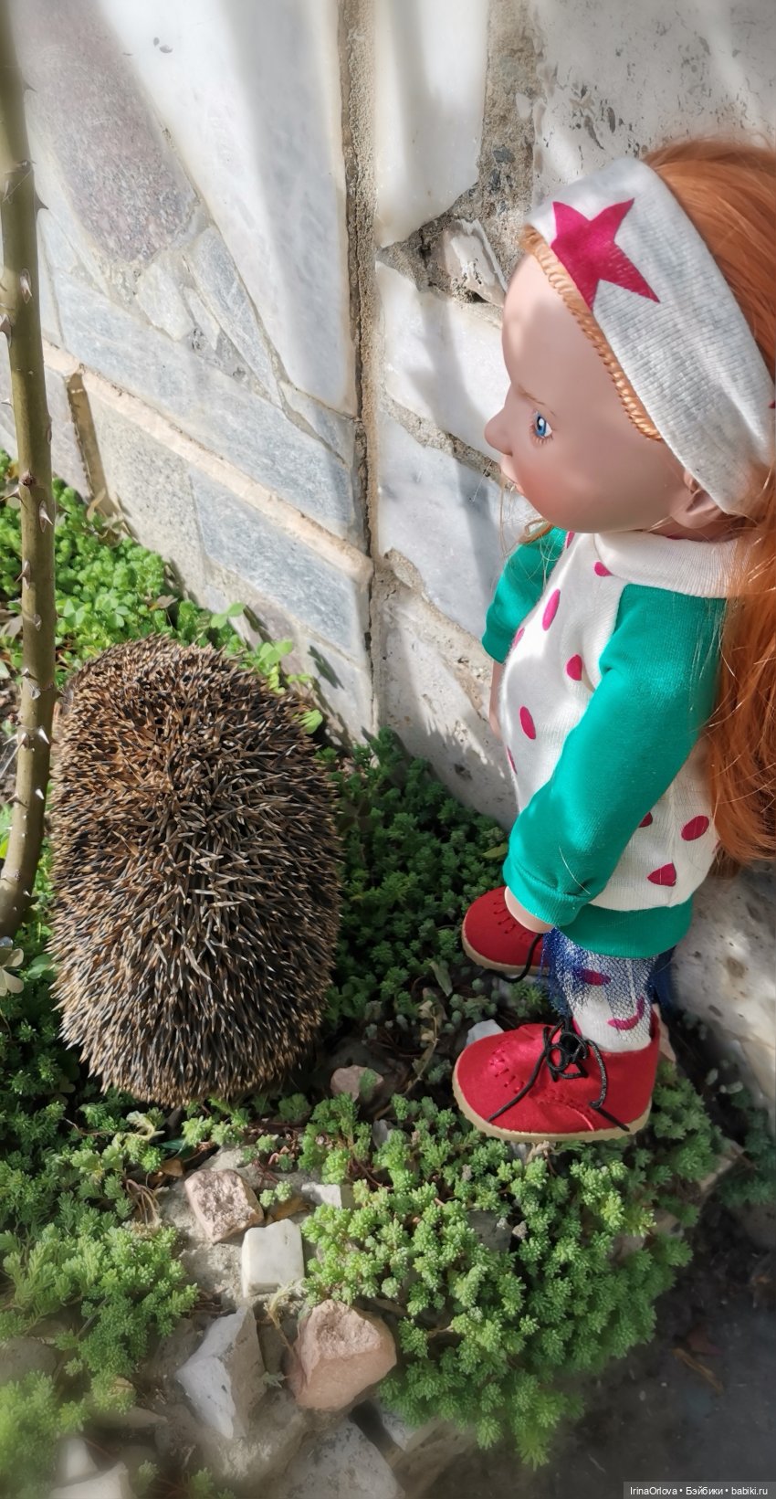 Случайная встреча — Игровые куклы Zwergnase (Цвергназе) Junior: Джуниор (фото 3)