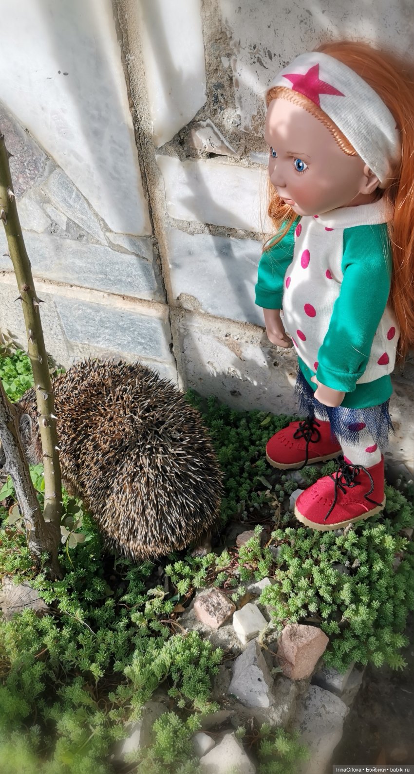 Случайная встреча — Игровые куклы Zwergnase (Цвергназе) Junior: Джуниор (фото 4)