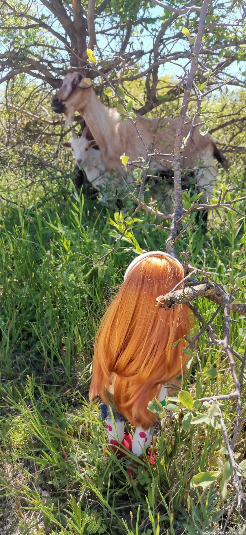 Маша - покорительница вершин