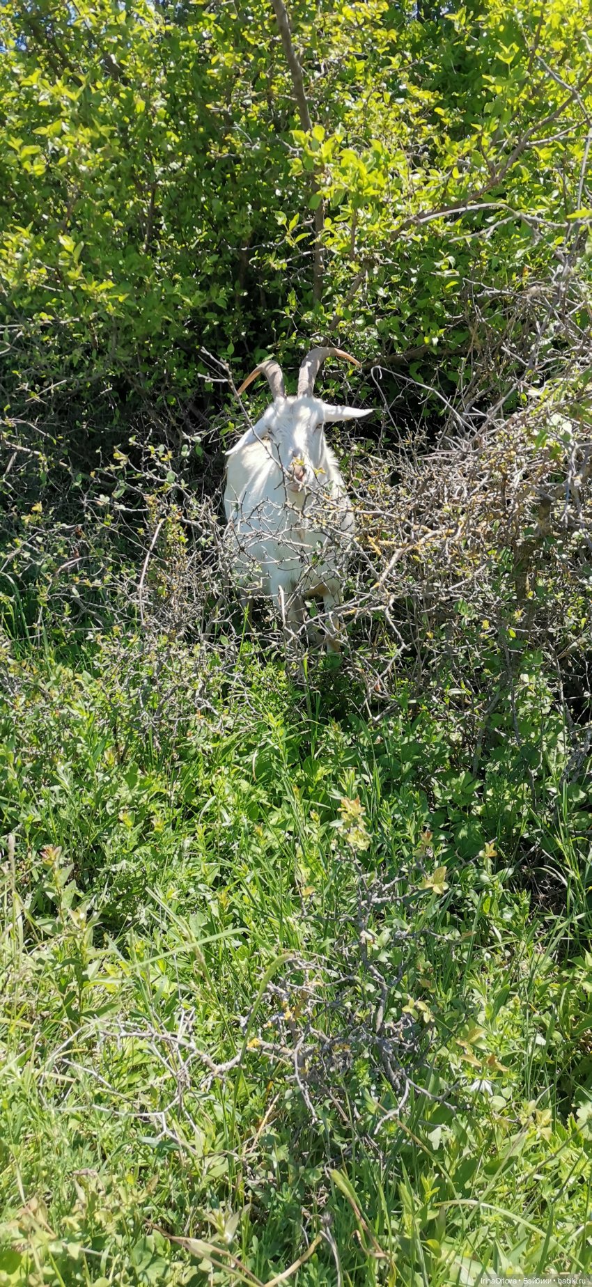 Маша - покорительница вершин